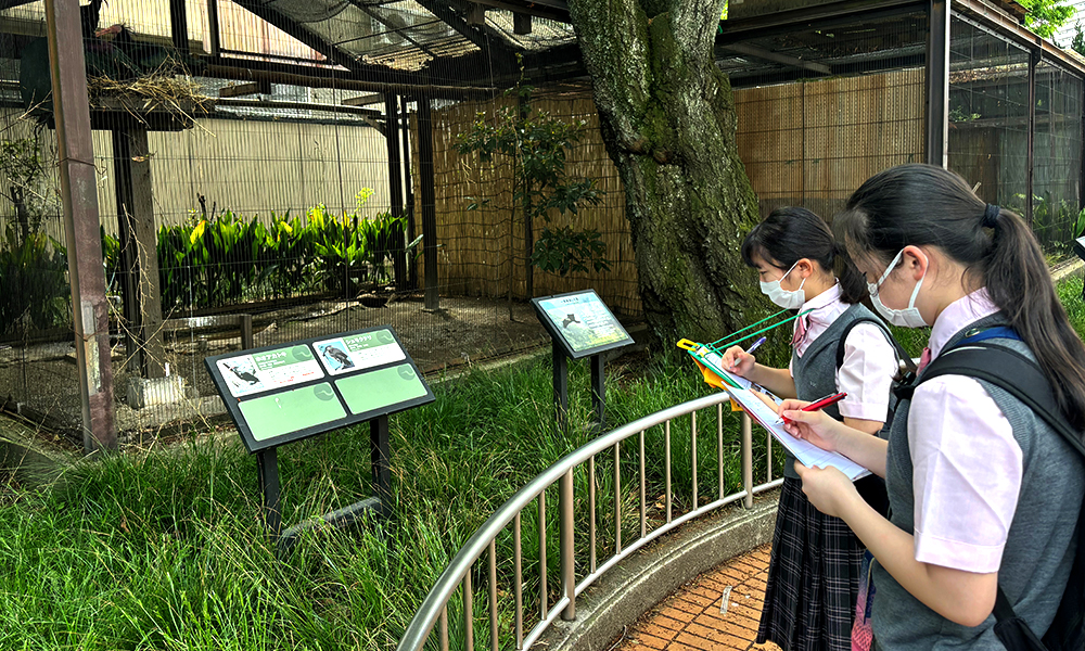 上野動物園での観察風景（中学2年・中学3年）